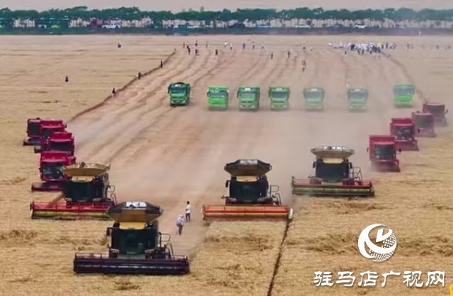 西平縣舉辦2025年小麥機收減損大比武活動現場會
