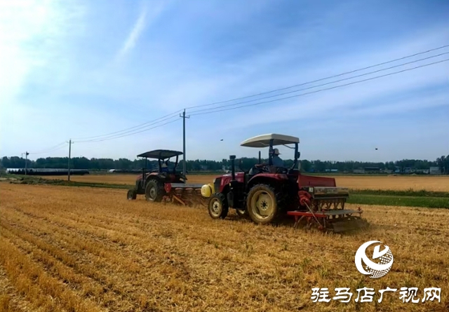 泌陽縣郭集鎮：積極推廣大豆玉米帶狀種植 助力農業增效農民增收