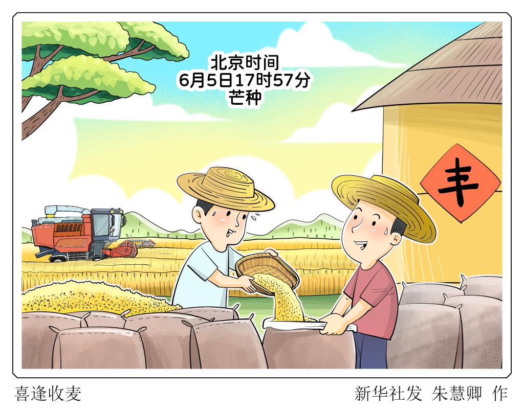 芒種時節多濕熱 健脾祛濕清心火