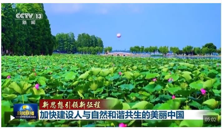 新思想引領新征程丨加快建設人與自然和諧共生的美麗中國