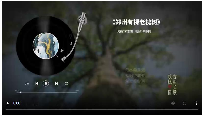 把古樹唱成歌，“古樹長歌”策劃引發“薦樹”熱潮