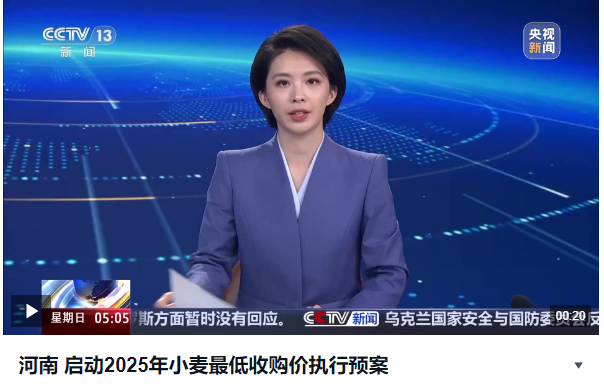河南 啟動2025年小麥最低收購價執行預案