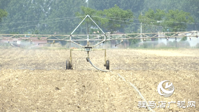 上蔡縣：科技賦能農業顯成效 智能灌溉助秋糧穩產