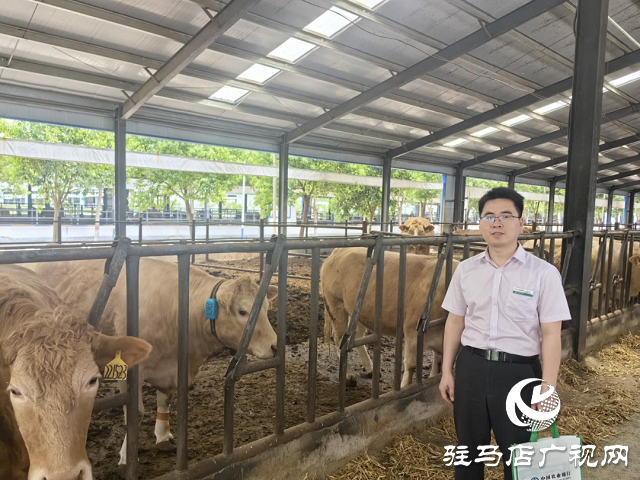 農(nóng)行駐馬店泌陽(yáng)縣支行呂紹勇：金融星火點(diǎn)亮鄉(xiāng)村振興路