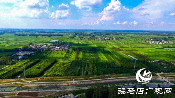 “全國(guó)文明城市”平輿縣以創(chuàng)新實(shí)踐書寫文明答卷
