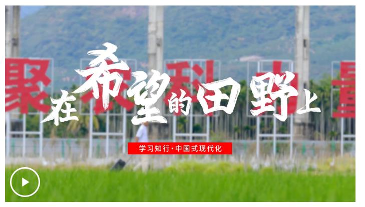 學習知行·中國式現代化丨在希望的田野上
