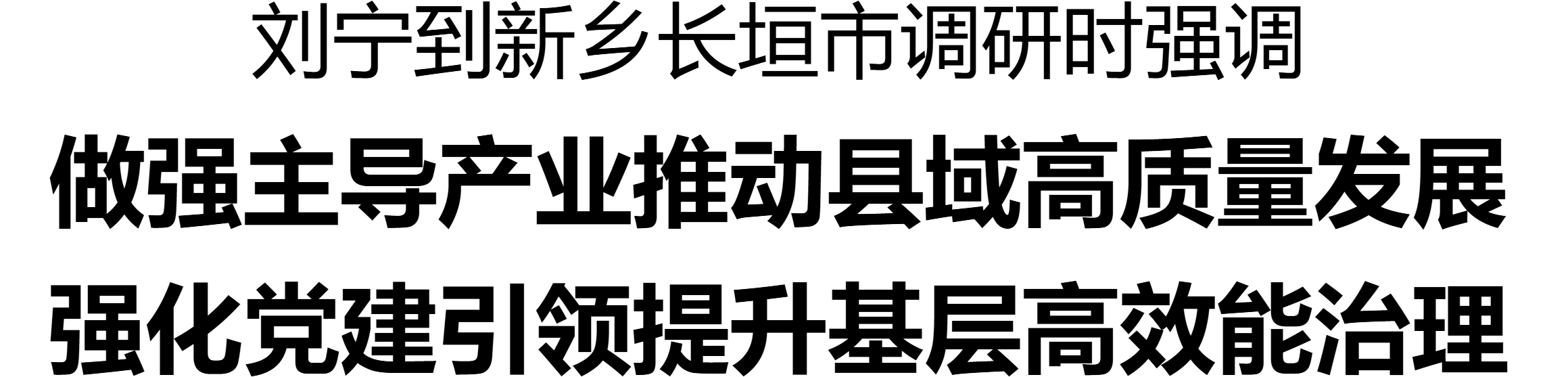 劉寧到新鄉(xiāng)長垣市調(diào)研產(chǎn)業(yè)發(fā)展、基層治理等工作