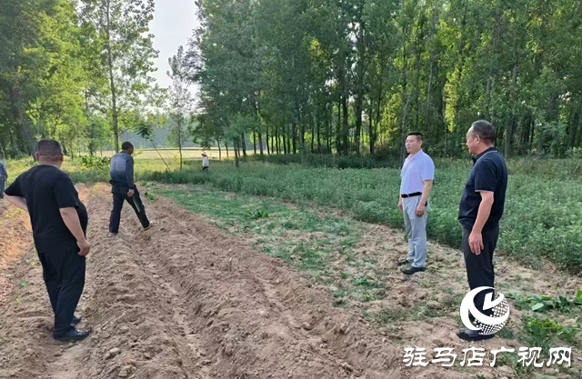 泌陽縣黃山口鄉：村村聽到禁毒聲 戶戶知曉禁種令