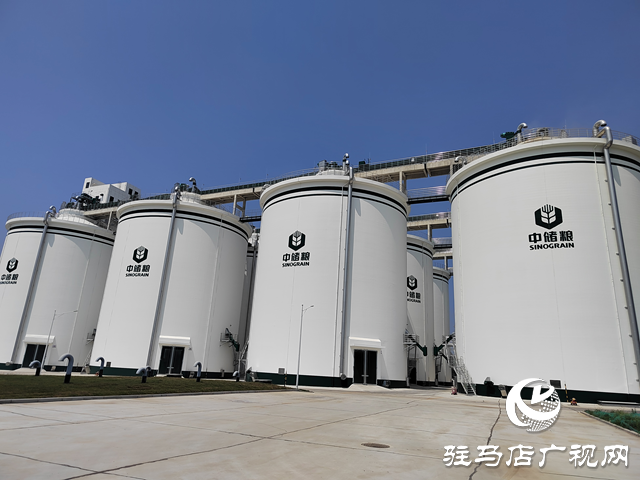 中央儲備糧駐馬店直屬庫：全力以赴打贏夏糧收購攻堅(jiān)戰(zhàn) 讓每粒麥子安心入倉
