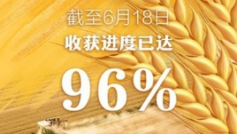 全國夏糧小麥大規(guī)模機(jī)收基本結(jié)束