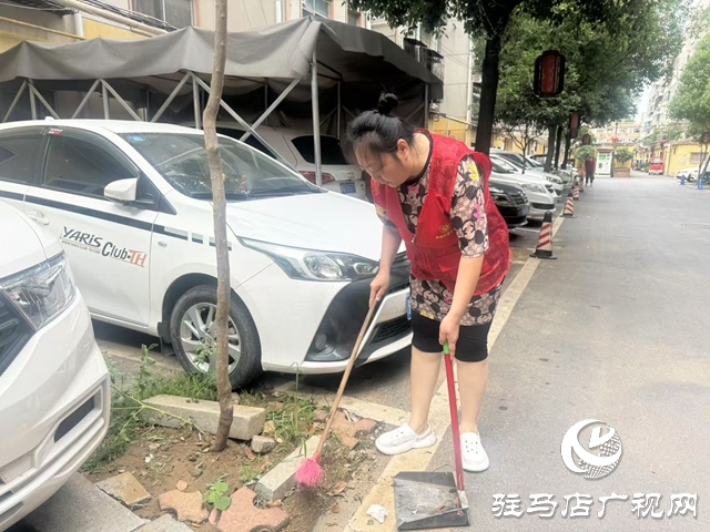 驛城區“紅色物業”激活老舊小區新活力 昔日“老破舊”變身幸福家園