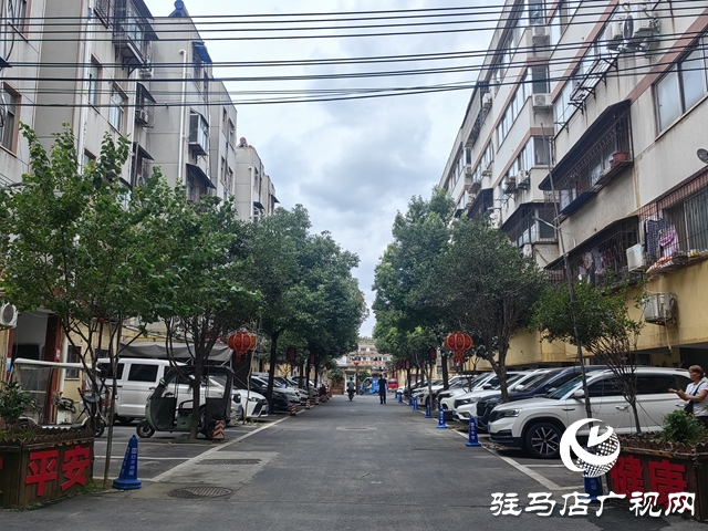 驛城區“紅色物業”激活老舊小區新活力 昔日“老破舊”變身幸福家園