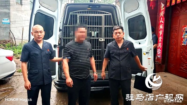 平輿縣人民法院：風雨無阻，清晨執行突擊再發力