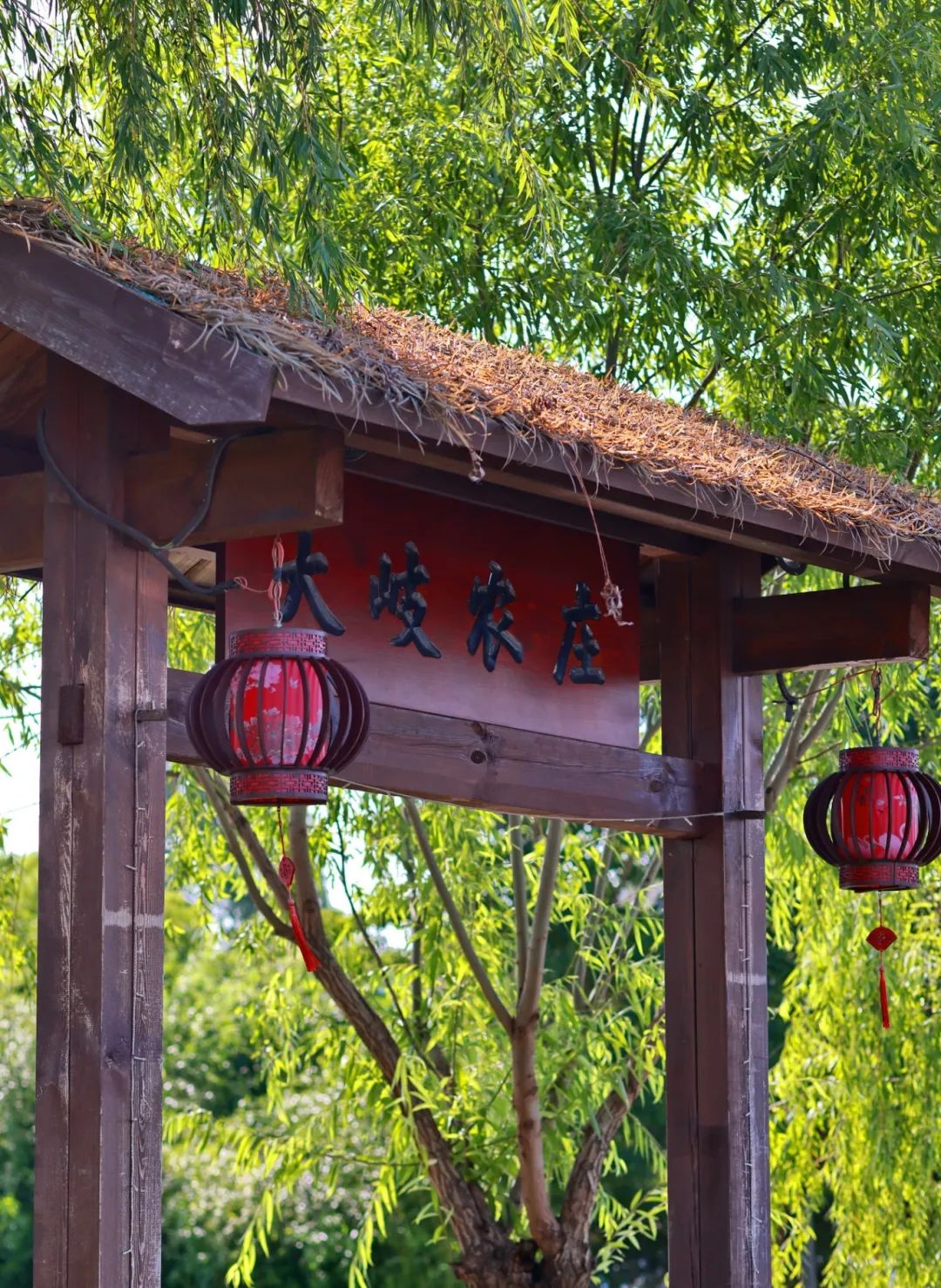 闖入夏日童話！上海近郊竟然有片23000㎡免費浪漫花?！? /></p>
<p data-mce-style=