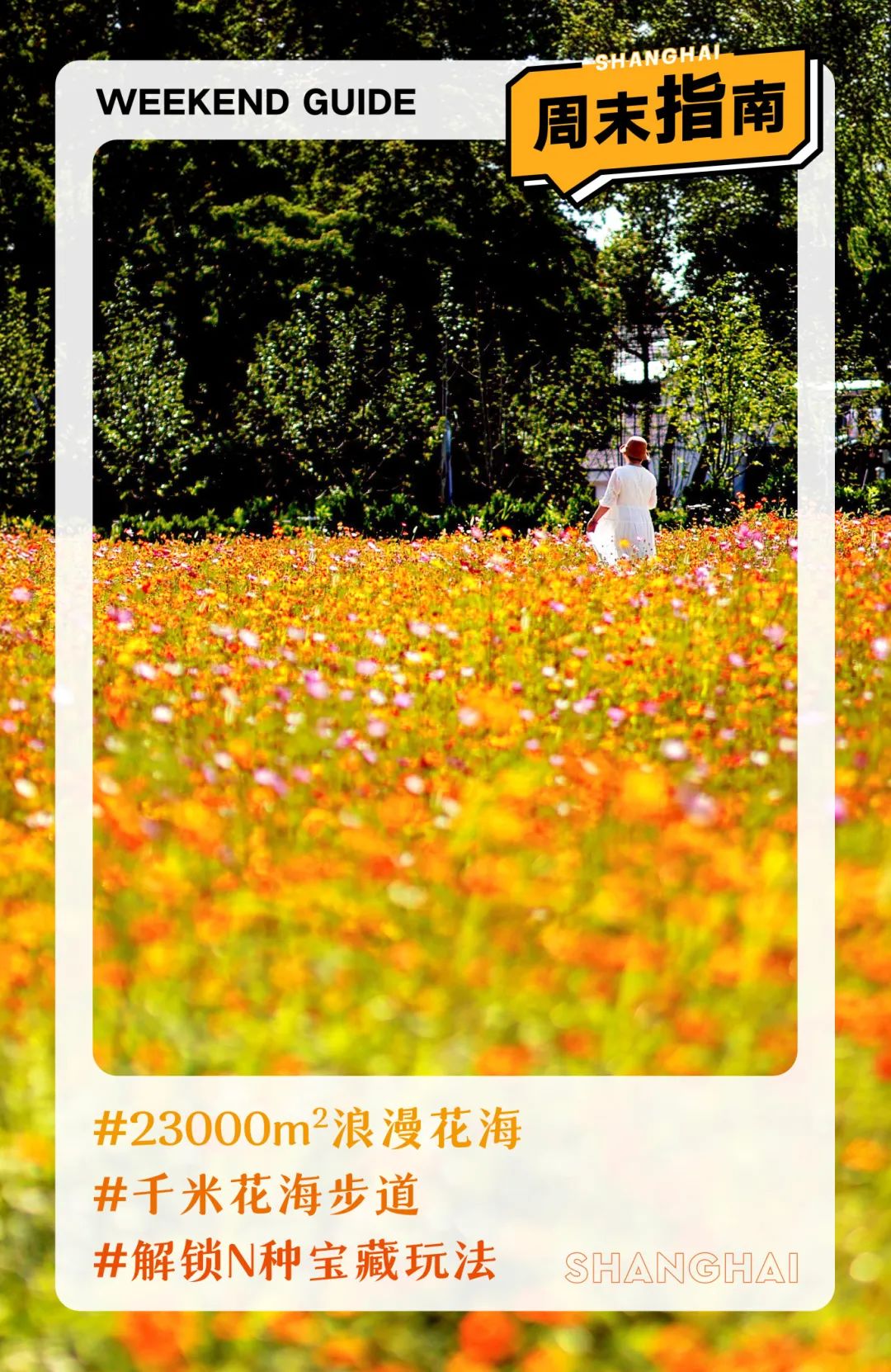 闖入夏日童話！上海近郊竟然有片23000㎡免費浪漫花?！? /></p>
<p style=