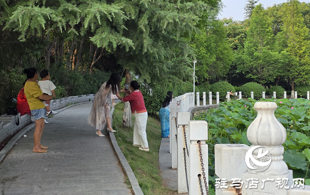 避暑首選！練江湖 置地公園為駐馬店市民送清涼