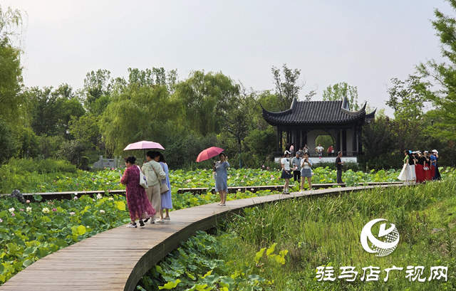 避暑首選！練江湖 置地公園為駐馬店市民送清涼
