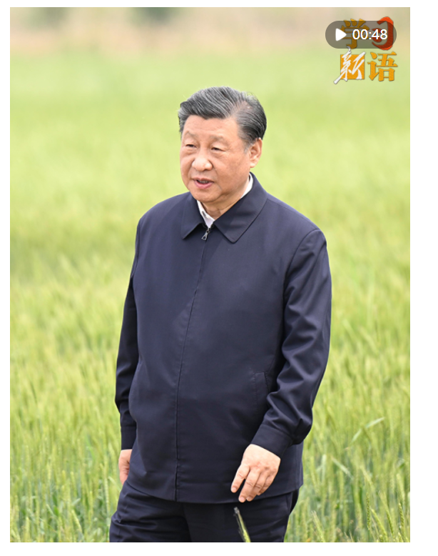 學習新語｜“耕地是糧食生產的命根子”