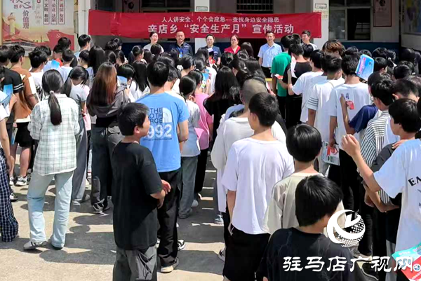 平輿縣辛店鄉：“安全種子”播校園，“隱患掃描”進企業