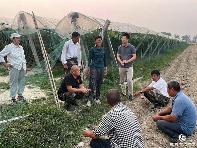 正陽縣寒凍鎮(zhèn)：開通服務(wù)群眾熱線 打通基層治理“最后一米”