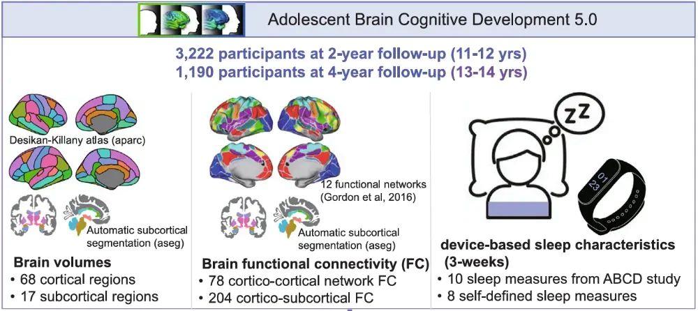 少睡一刻鐘，腦子變“懵懂”？勸你早睡的科學依據來了