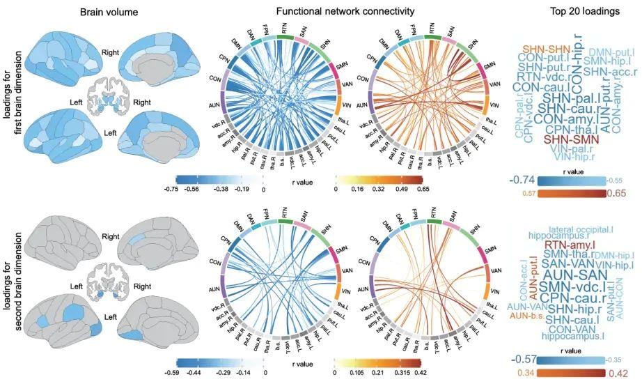 少睡一刻鐘，腦子變“懵懂”？勸你早睡的科學依據來了