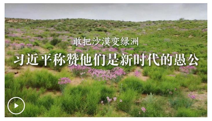 學習·故事丨敢把沙漠變綠洲 習近平稱贊他們是新時代的愚公