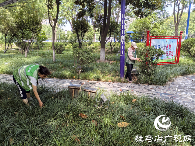 駐馬店經濟開發區城市管理局：精細管理顯成效 清除雜草美環境