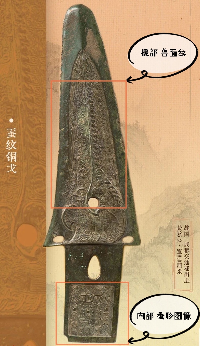 青銅戈上刻蠶紋 這是古蜀人種桑養蠶的實證