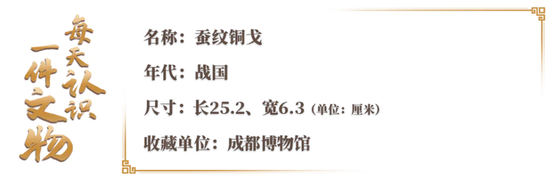 文博日歷丨青銅戈上刻蠶紋 這是古蜀人種桑養(yǎng)蠶的實證