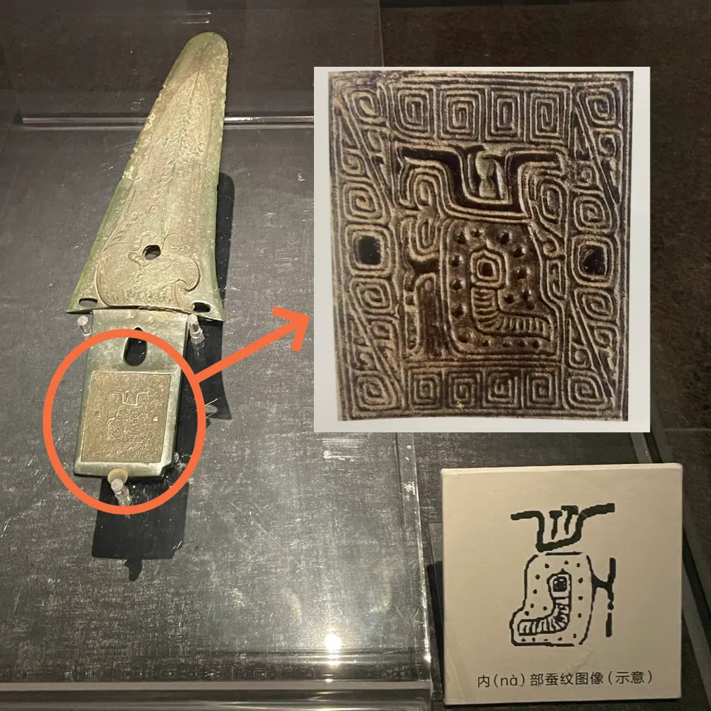 文博日歷丨青銅戈上刻蠶紋 這是古蜀人種桑養(yǎng)蠶的實證
