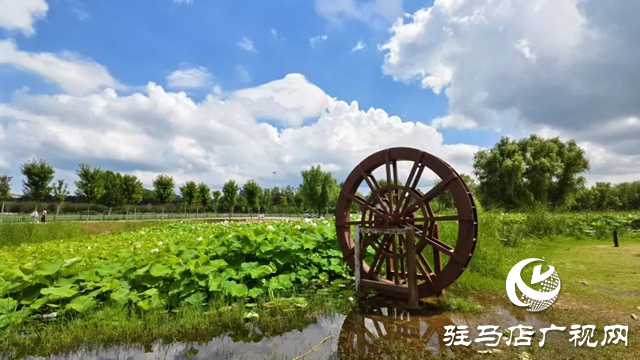 【大美天中】泌陽現“水晶天”！漢風古韻與湖光云影同框