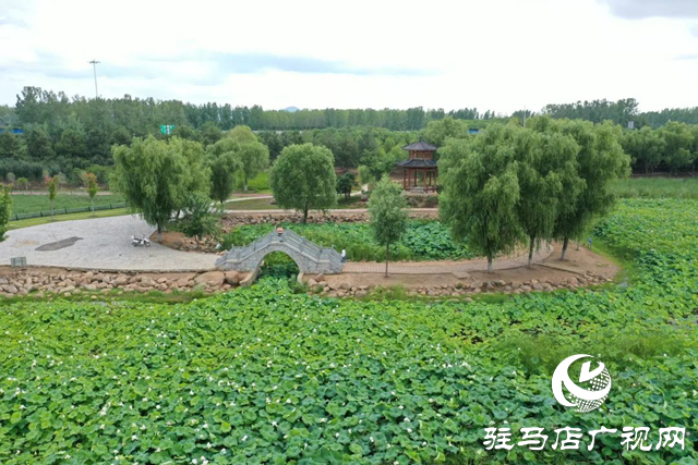 【大美天中】泌陽現“水晶天”！漢風古韻與湖光云影同框
