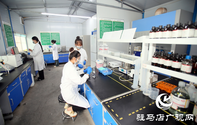 駐馬店高新區(qū)：科技賦能產業(yè)升級 創(chuàng)新引領經濟騰飛