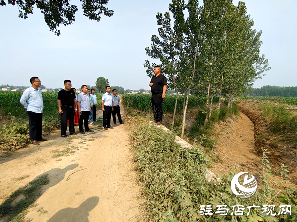 平輿縣李屯鎮：溝渠連通惠民生 “三園”建設促發展