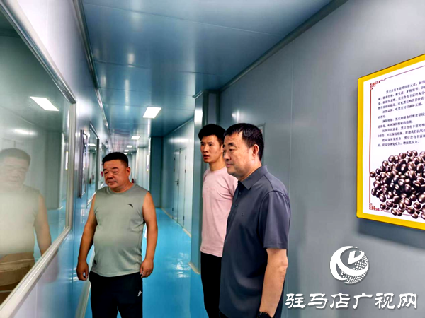 平輿縣射橋鎮(zhèn)：親臨企業(yè)問需求  精準(zhǔn)助力煥新機(jī)