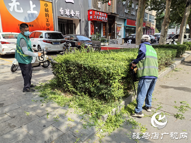  開發區城市管理局：全力打好“戰高溫 保綠蔭”攻堅戰 守護城市綠色風景線