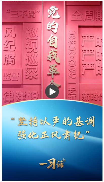 一習話丨“堅持以嚴的基調強化正風肅紀”