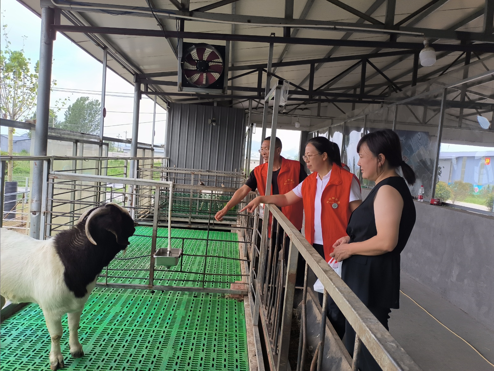 省科技特派員服務(wù)隊與市動物疫病防控技術(shù)科技志愿服務(wù)隊深入一線護航夏季生產(chǎn)