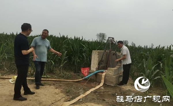  西平縣農業農村局多措并舉抗旱保秋助豐收