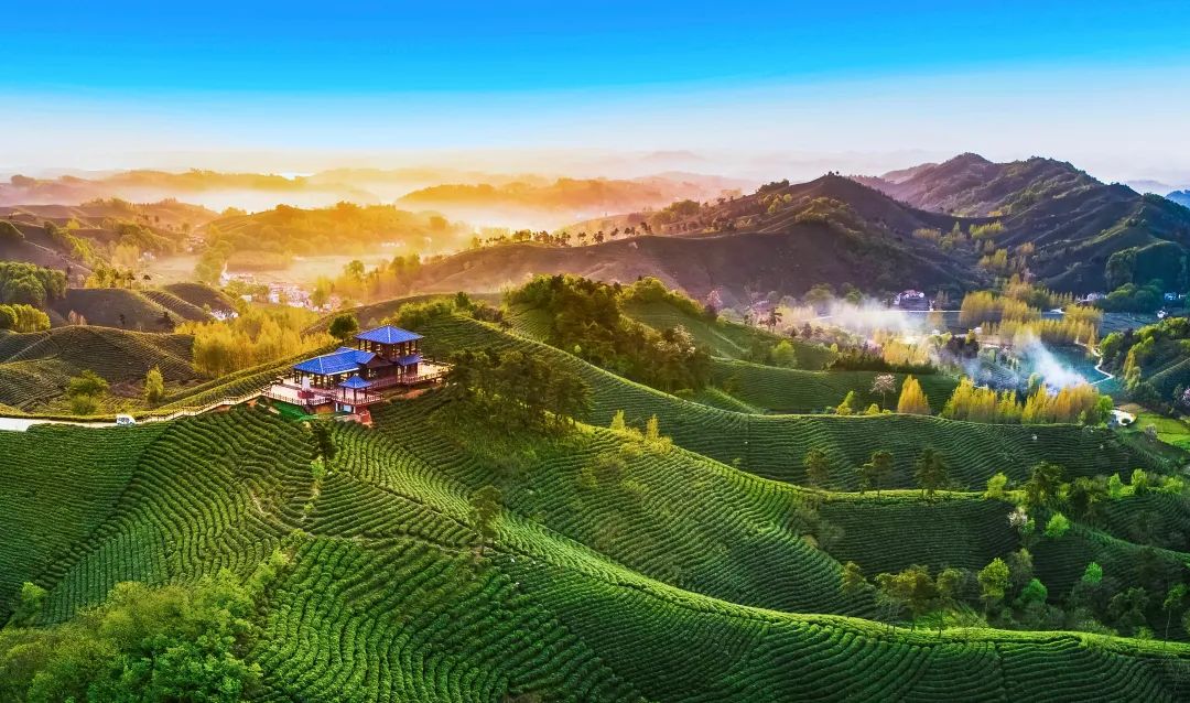 河南30個網(wǎng)紅打卡點(diǎn)名單今天發(fā)布