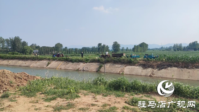 駐馬店驛城區：戰高溫 抗旱情保秋糧