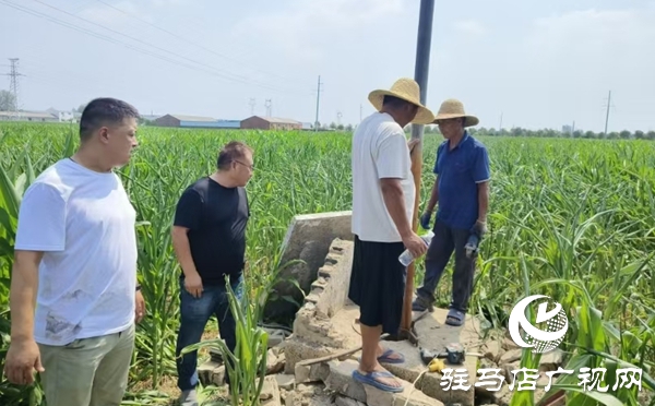  西平縣農業農村局多措并舉抗旱保秋助豐收