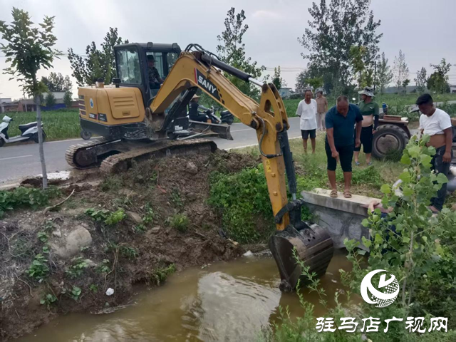 驛城區諸市鎮：干群同心掀起抗旱保秋熱潮