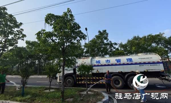  “渴”不容緩 西平縣全力打響抗旱保綠攻堅戰