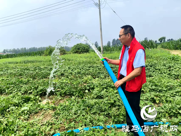 平輿縣萬金店鎮：多舉措抗旱保秋 筑牢豐收防線