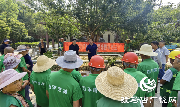  西平縣城管局園林綠化中心開展夏季苗木抗高溫養護培訓