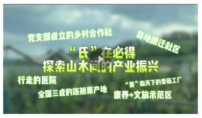 “氏”在必得 探索山水間的產業振興