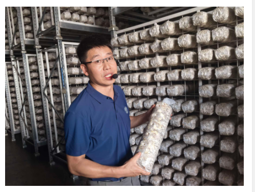 產業融合激活發展動能！盧氏實踐繪就鄉村振興新圖景｜鄉村振興看河南
