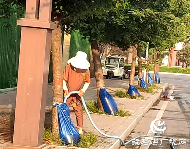 確山縣住建局：2000個“抗旱保綠神器”上崗